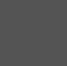 iCaur V27 REEV Gray 