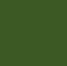 iCaur V27 REEV Green 